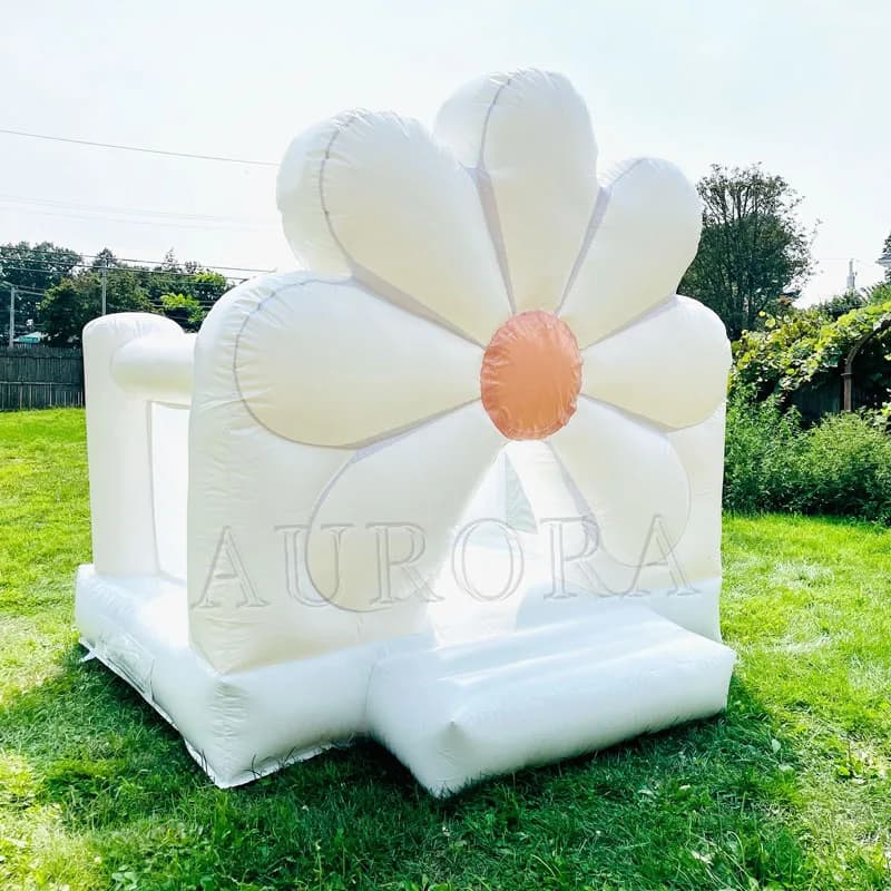 The Daisy